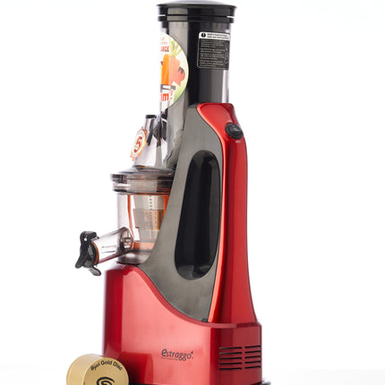 Slow juicer LifeEnergy PRO-2