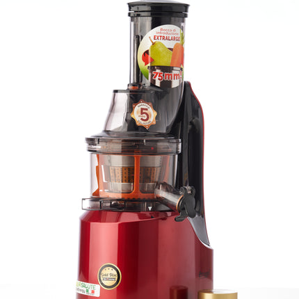 Slow juicer LifeEnergy PRO-0