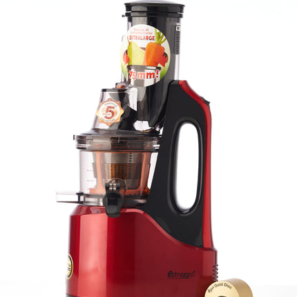 Slow juicer LifeEnergy PRO-1