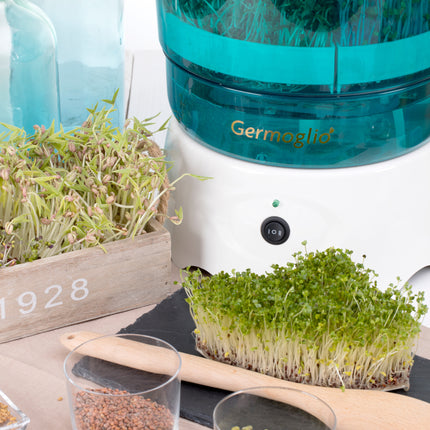 Seed sprouter automatic machine Germoglio-2